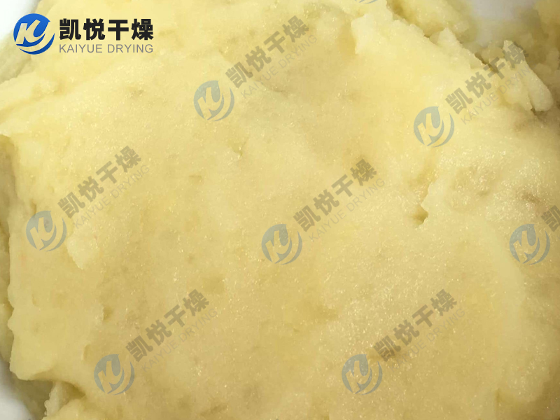 土豆蛋白、豌豆蛋白闪蒸干燥机(宁夏固原XX淀粉)